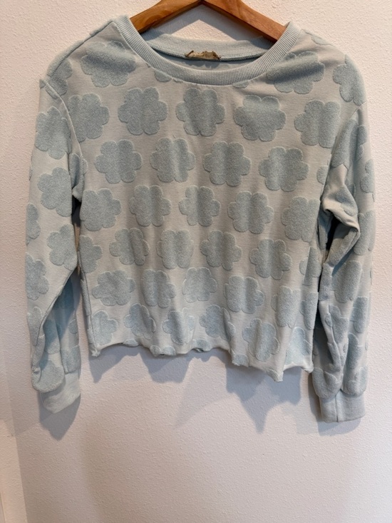 Altar'd State Tops - Altar'd State Light Blue Floral Appliqué Crop Sweatshirt